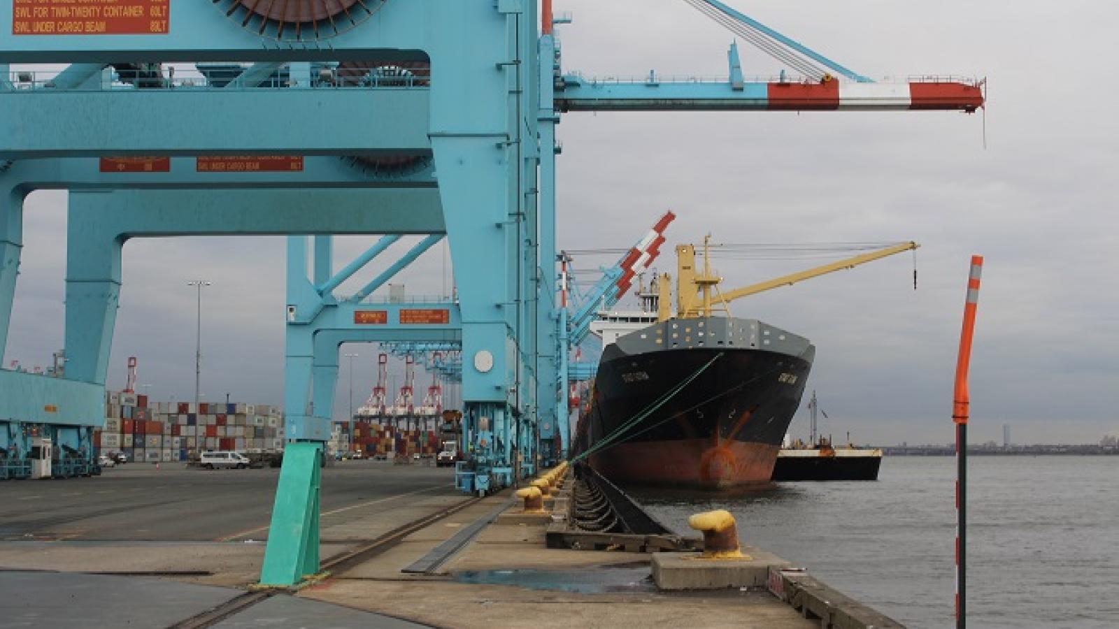 APM Terminals NY NJ upgrade advances with new cranes Journal